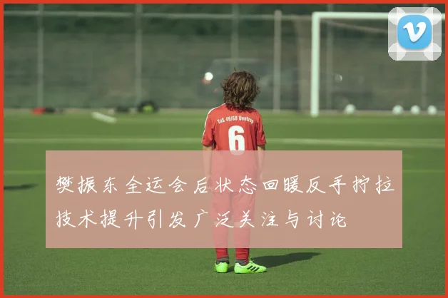樊振东全运会后状态回暖反手拧拉技术提升引发广泛关注与讨论